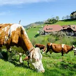 Prinzbachhof 뮬렌바하
