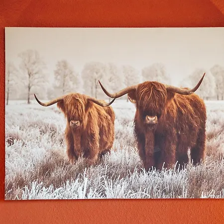 Apartmán Prinzbachhof *