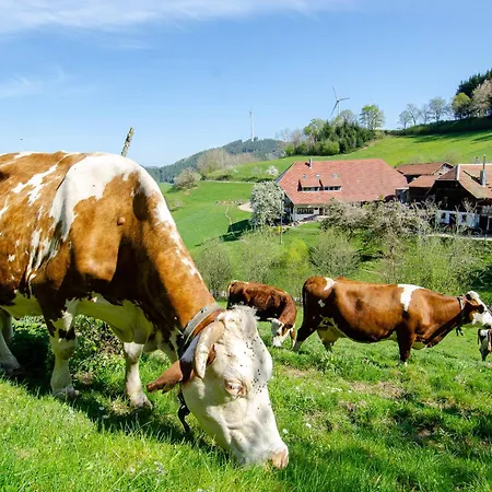Prinzbachhof Mühlenbach