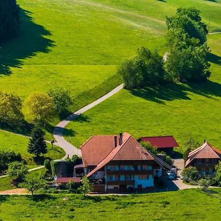 Prinzbachhof Апартаменты Muehlenbach