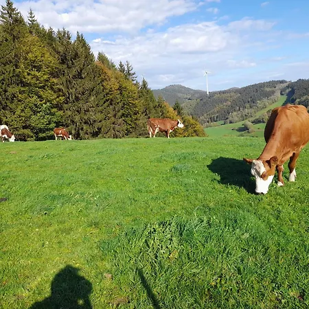 Prinzbachhof 아파트 뮬렌바하