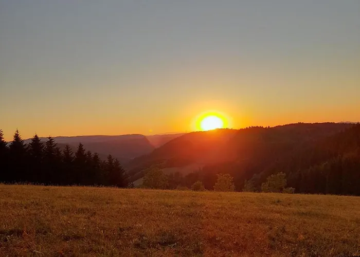 Prinzbachhof Mühlenbach