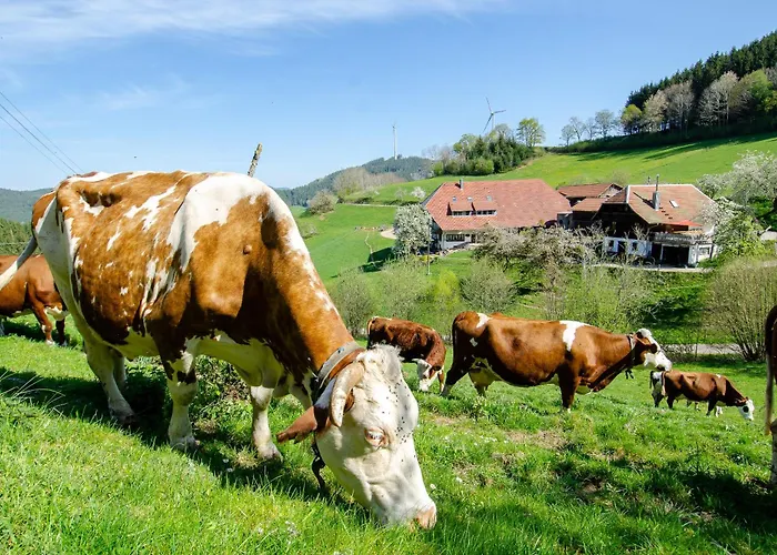 Prinzbachhof Mühlenbach