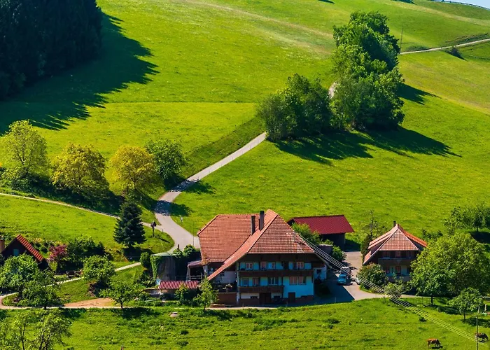 Prinzbachhof Apartamento Mühlenbach